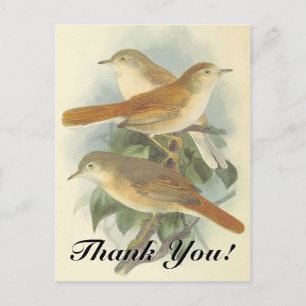 Postale 3 Oiseaux perchés sur une branche "Merci"! Carte p