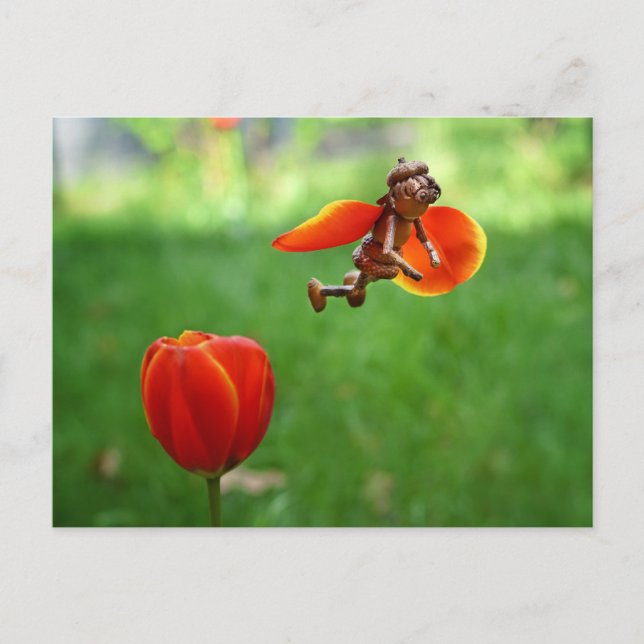 Postale Acorn elf fille comme tulip fée printemps carte po (Devant)