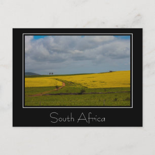 Postale Afrique du Sud Paysage Nature Paysage Carte postal