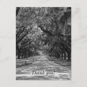 Postale Allée de chênes Carte de remerciement en nuances d