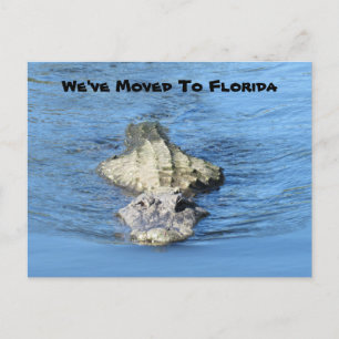 Postale Alligator déménagé en Floride - Nouvelle carte pos