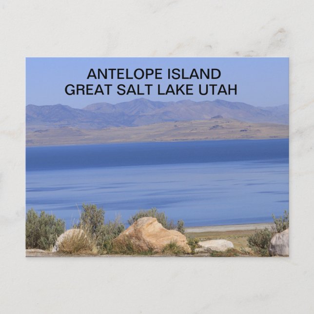 Postale Antelope Island Great Salt Lake in Utah Carte post (Devant)