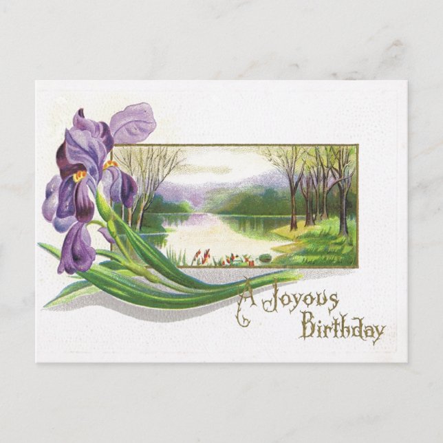 Postale Antique Carte Post Anniversaire Iris Purple Flower (Devant)