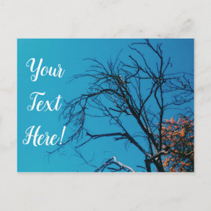 Postale Arbre aux feuilles jaunes orange Ciel bleu Carte p