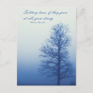 Postale Arbres solitaires se développent fortement - Carte