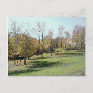Postale Arbres sur la pente 2004 Carte de poste photo