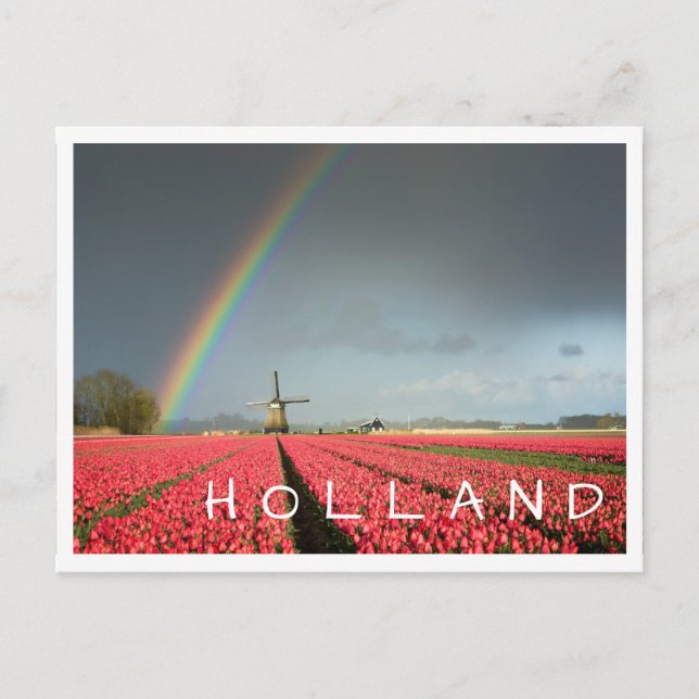 Postale Arc-en-ciel, tulipes et moulin Holland carte posta (Devant)