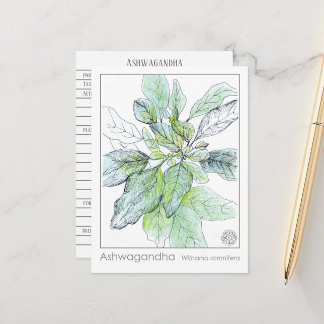 Postale Ashwagandha Materia Medica Carte d'étude sur les p (Devant/Arrière en situation)