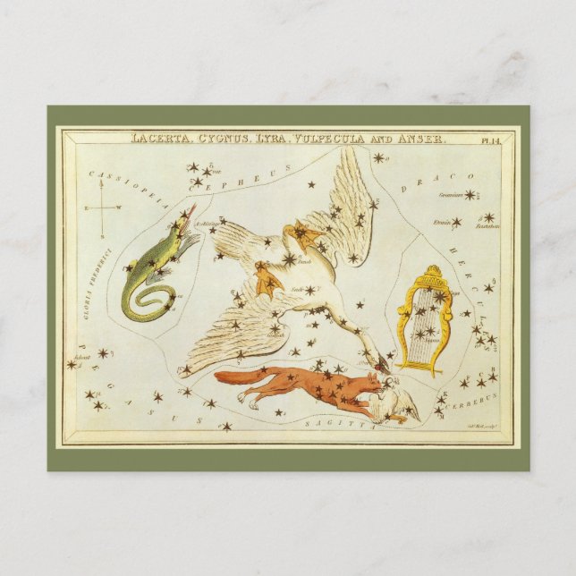 Postale Astronomie vintage, Constellations Stars Carte Gra (Devant)