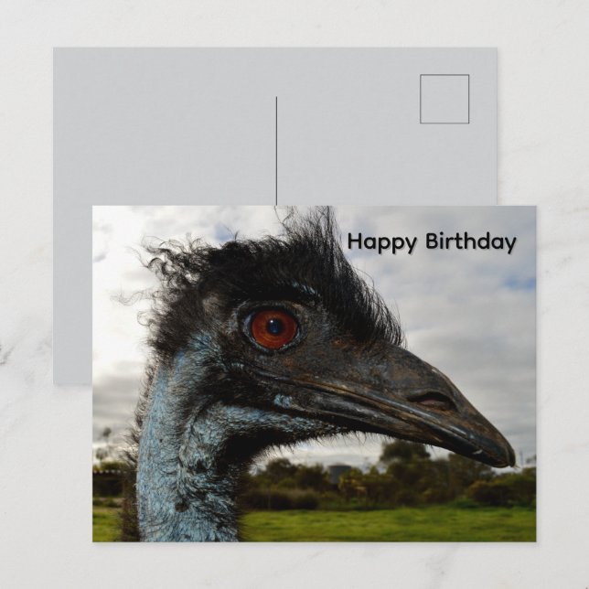 Postale Attraction d'émeu australien, carte d'anniversaire (Devant / Derrière)