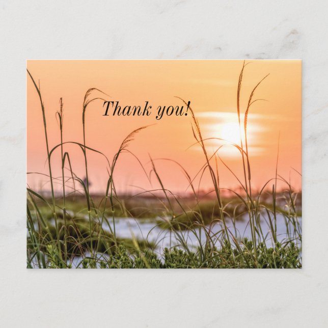 Postale Aube des avoines de mer de Floride Merci Carte pos (Devant)