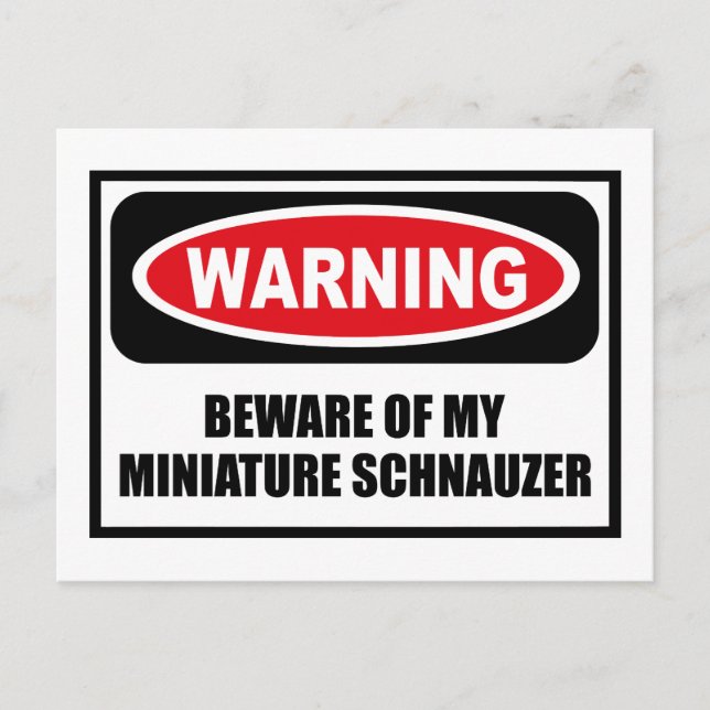 Postale Avertissement ATTENTION À MON SCHNAUZER NAIN Carte (Devant)