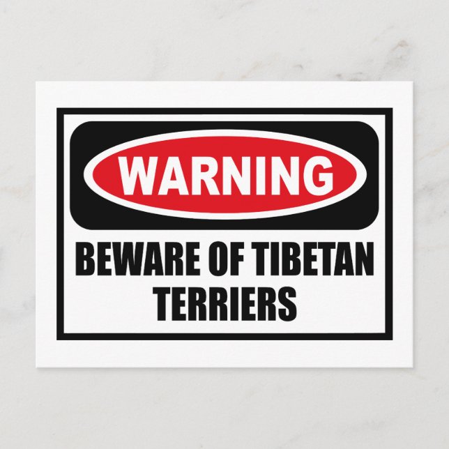 Postale Avertissement MÉFIER DES TERRIERS TIBÉTAINS Carte  (Devant)
