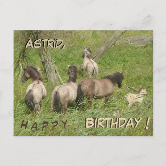 Postale Beaux chevaux sauvages Carte d'anniversaire person (Devant)