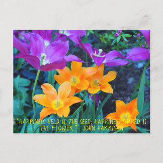 Postale Belle Tulipes Printemps Orange Purple Carte Postal
