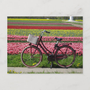 Postale Bicyclette à Tulips Field do-it-yourself carte pos