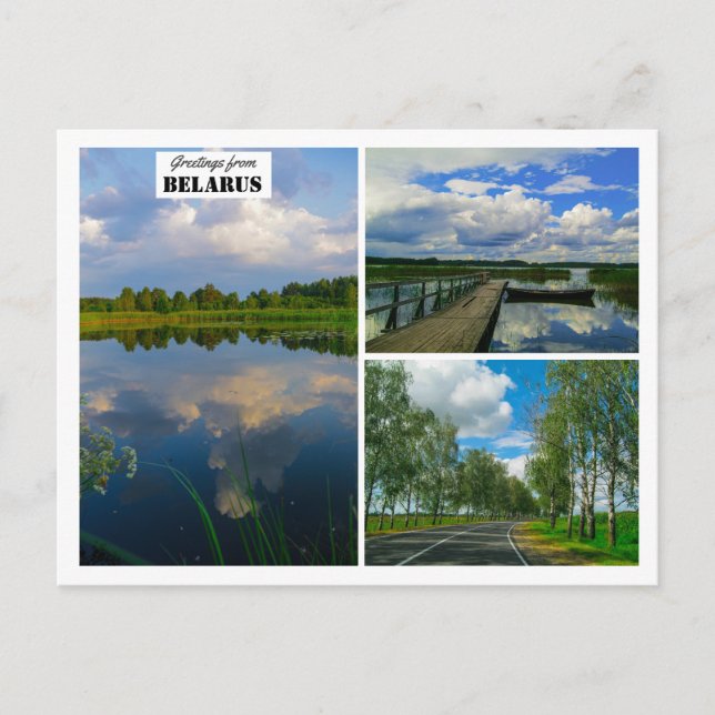 Postale Biélorussie Salutations Nature Lake Scenery Carte  (Devant)