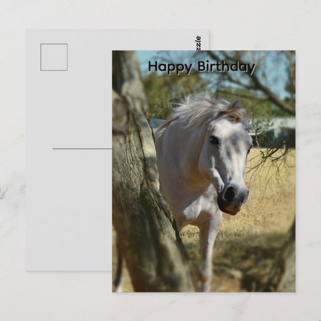 Postale Blanche Neige Le Cheval, Carte De Vœux D'anniversa (Devant / Derrière)