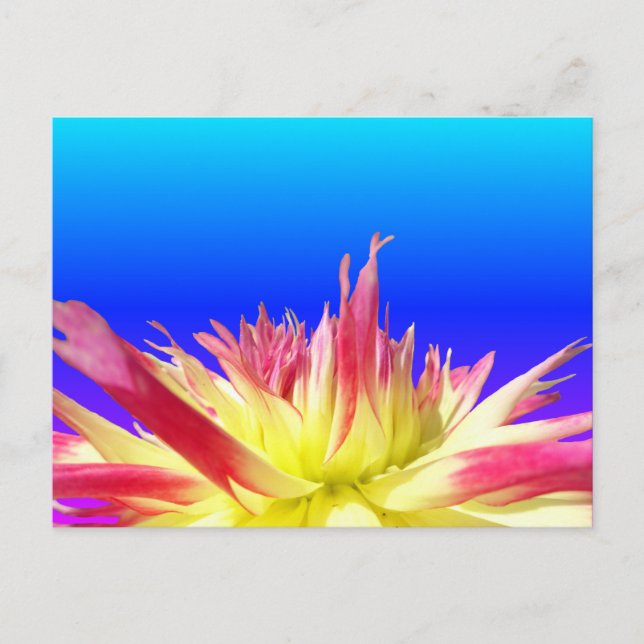 Postale Bleu rose Dahlia bleu BG do-it-yourself carte post (Devant)