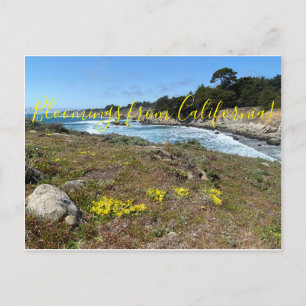 Postale Bloomings from California : Les pas... Carte posta