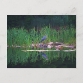 Postale Blue Heron Reflections Animal Peinture Carte posta