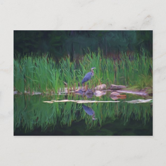 Postale Blue Heron Reflections Animal Peinture Carte posta (Devant)