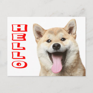 Postale Bonjour chiot Shiba Inu Carte de vœux
