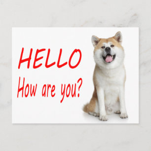 Postale Bonjour chiot Shiba Inu Carte de vœux