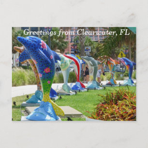 Postale Bonjour dauphin de Clearwater Florida carte postal