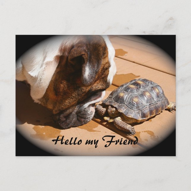 Postale Bonjour ma carte de poste d'ami (Devant)