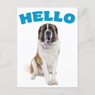 Postale Bonjour Saint Bernard Chien Chien Chien Bleu Carte