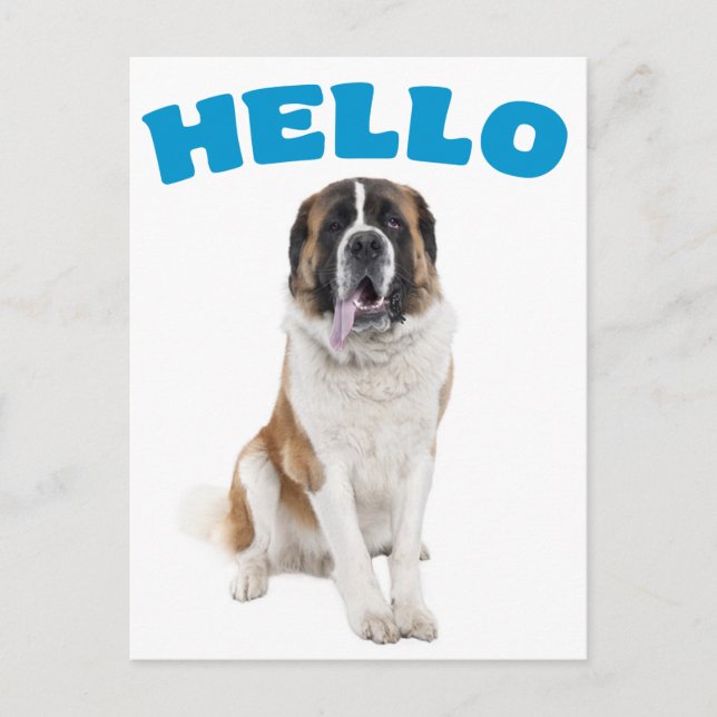 Postale Bonjour Saint Bernard Chien Chien Chien Bleu Carte (Devant)