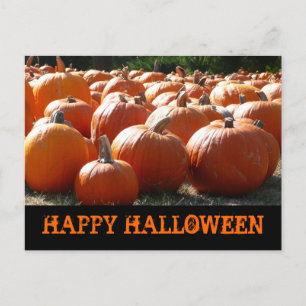 Postale Bonne carte Citrouille Halloween