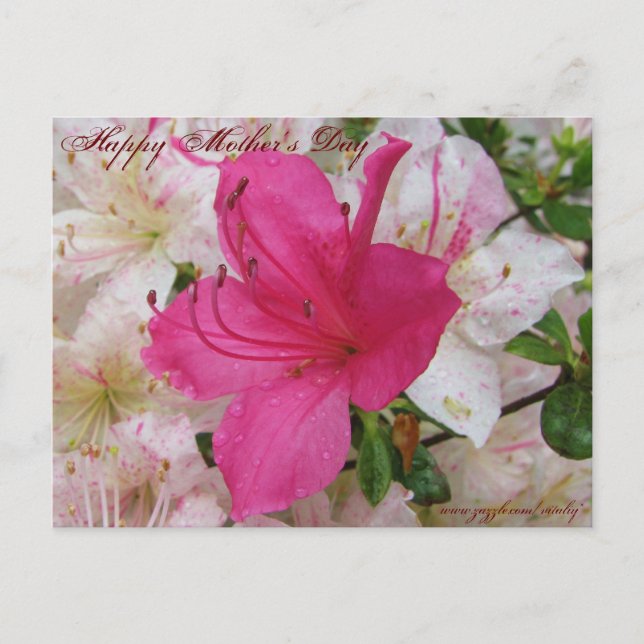 Postale Bonne carte de fête des mères (Devant)