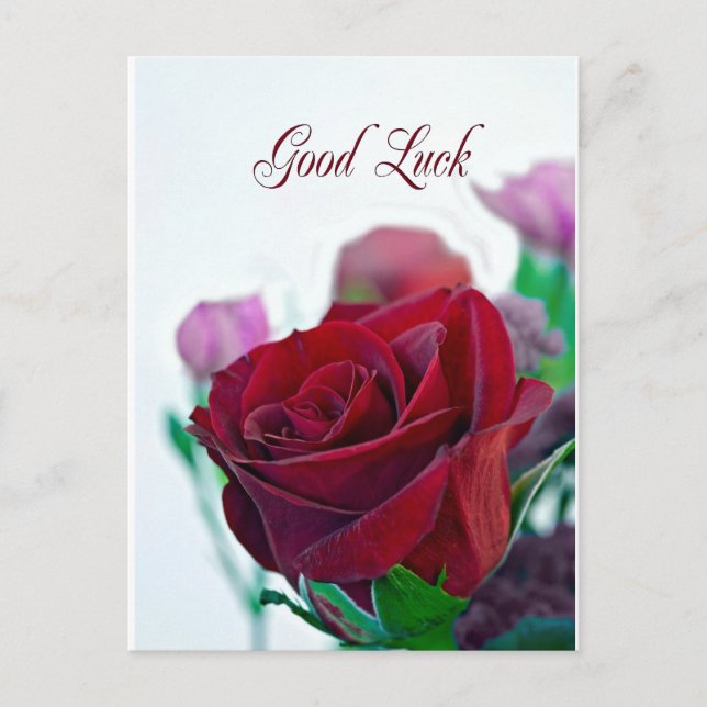 Postale Bonne chance carte avec une rose rouge classique (Devant)