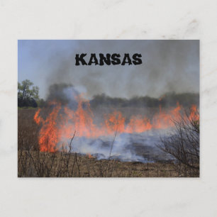 Postale Brûlage d'herbe du Kansas pour la nouvelle carte p