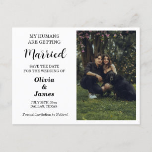Postale Budget Chien Mariage Photo Enregistrer la carte Da