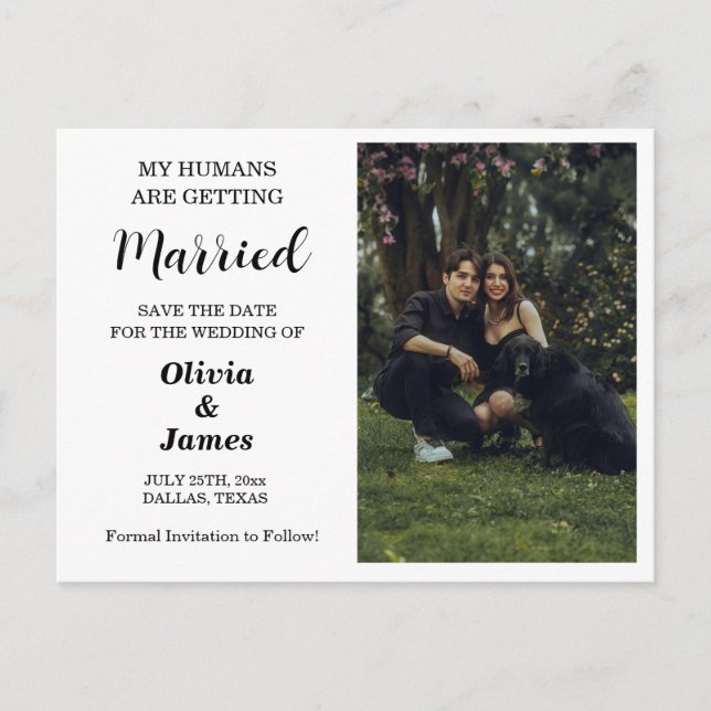 Postale Budget Chien Mariage Photo Enregistrer la carte Da (Devant)