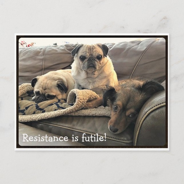 Postale Bumblesnot : La résistance est Futile carte postal (Devant)