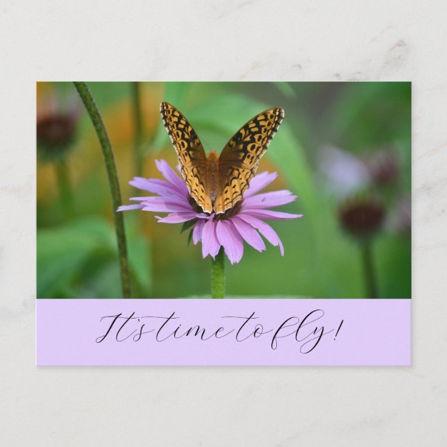 Postale Butterfly Time for New Life Adventures Carte posta (Devant)