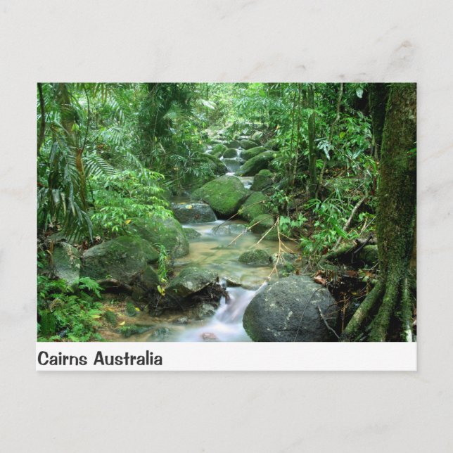 Postale Cairns Forest Creek Queensland Australie Carte pos (Devant)