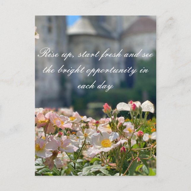 Postale Carte (Devant)