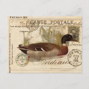 Postale Carte à canard vintage
