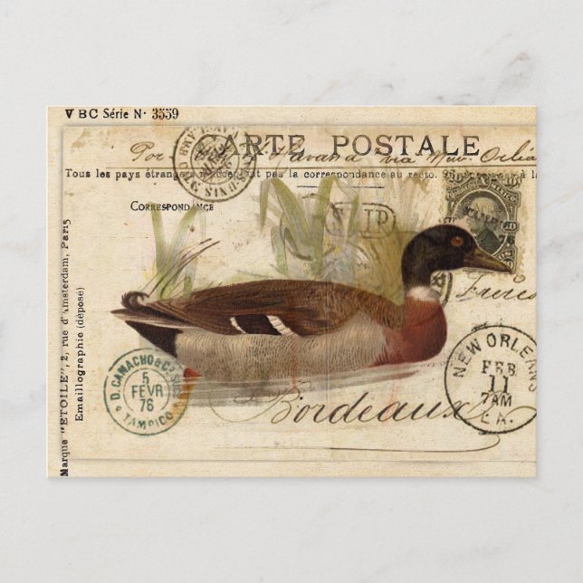 Postale Carte à canard vintage (Devant)