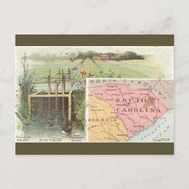 Postale Carte ancienne de Caroline du Sud (Devant)