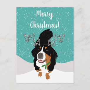 Postale Carte cadeau de chien de montagne bernoise de Noël