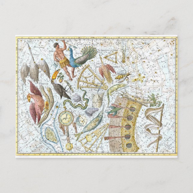 Postale Carte céleste des constellations du ciel sud vinta (Devant)