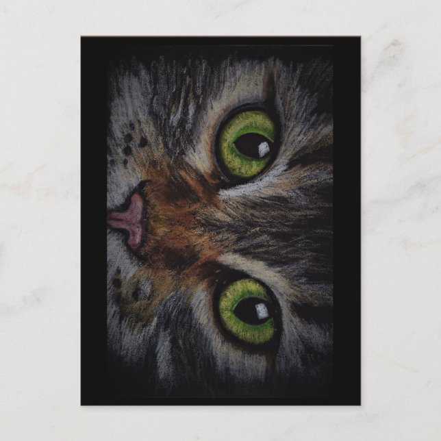 Postale Carte chat (Devant)