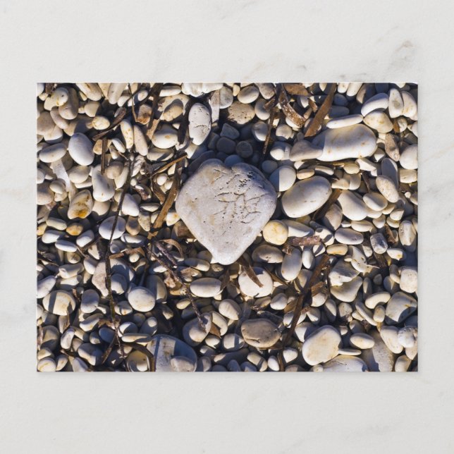 Postale Carte Coeur Nature (Devant)