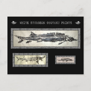Postale Carte Collage Gyotaku pour esturgeon blanc